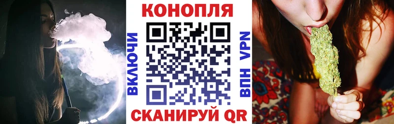 дарк нет как зайти  Гай  Шишки марихуана MAZAR  цены  